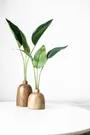 Steal These Tips for Perfectly Integrating Artificial Plants into Your Home Decor Photo